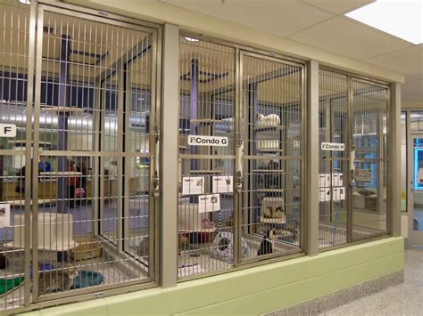 Foothills Animal Shelter