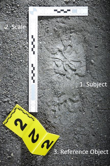 Footprint evidence: