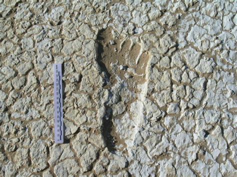 Footprints to the Dragon: Uncovering the Secrets of 2,000-Year-Old Footprints