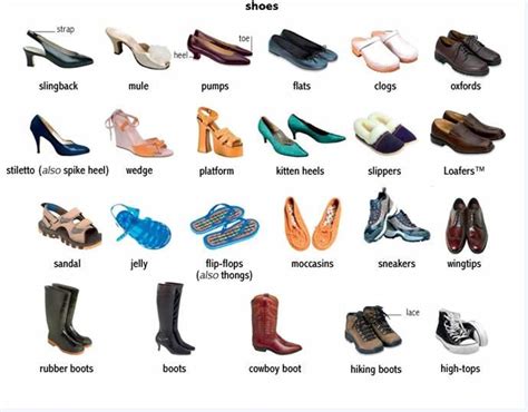 Footwear Nomenclature: Unveiling the Enigmatic World of Shoe Synonyms