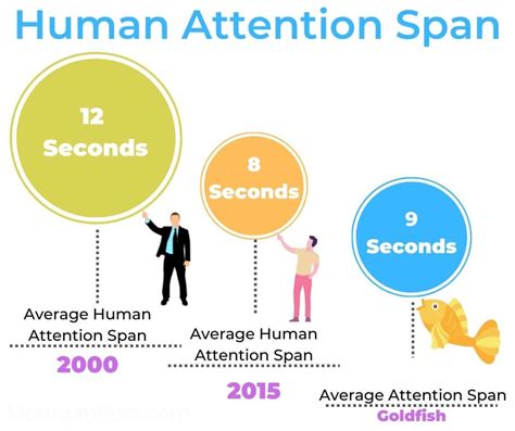 For How Long: The Science Behind the Human Attention Span