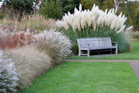 For Your Garden Ornamental Grasses Epub