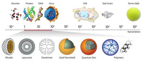 For context, some common objects and structures measured in nanometers include: