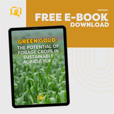 Forage Ebook Doc