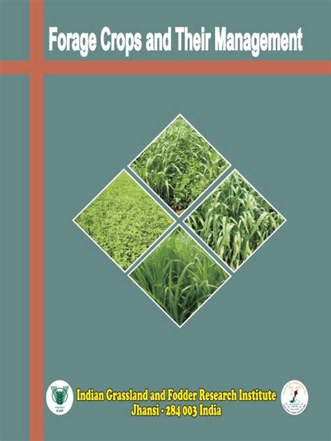 Forage and Grassland Management PDF