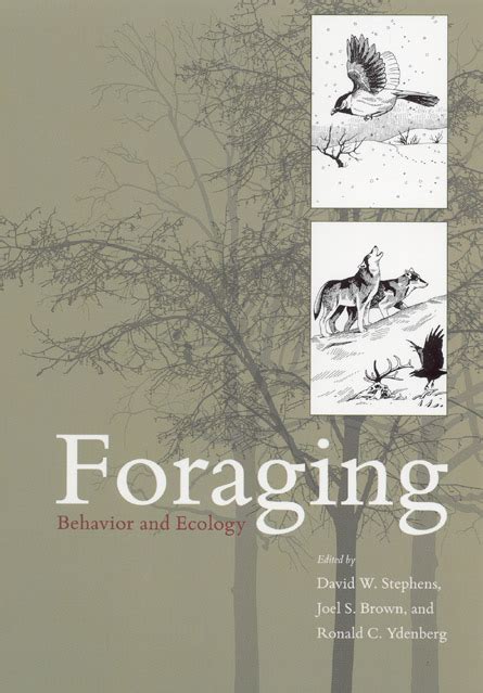 Foraging: Behavior and Ecology Kindle Editon