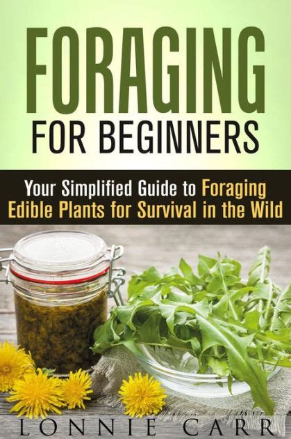 Foraging A Beginner s Guide for Foragers Wilderness Survival Skills Self-Sufficient Living and Foraging Wild Edible Plants Kindle Editon