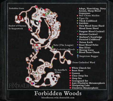 Forbidden Forest Bloodborne 3847: Unraveling the Dark Secrets and Encounters