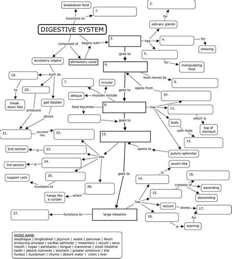 Force Concept Inventory Test Answer Key PDF