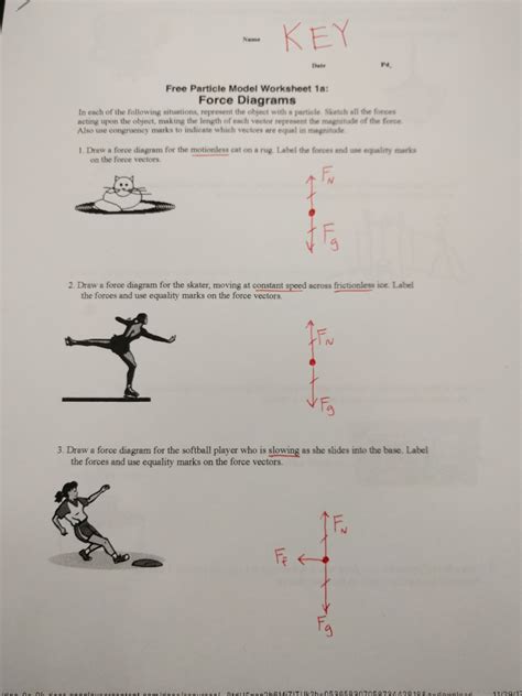 Force Diagrams Worksheet Answers Reader