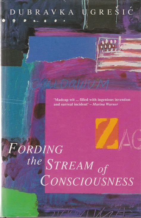 Fording the Stream of Consciousness Writings from an Unbound Europe PDF