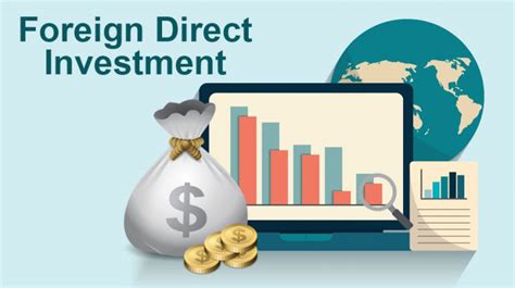 Foreign Direct Investment in Developing Countries What Economists (Dont) Know and What Policymakers Kindle Editon