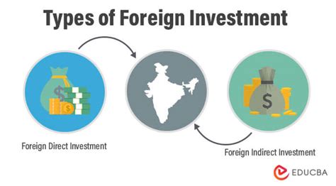 Foreign Investment Kindle Editon