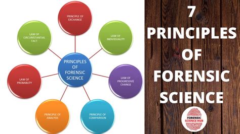 Forensic Science The Basics Answer Key Doc