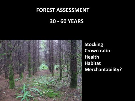 Forest Assessment Reprint Kindle Editon