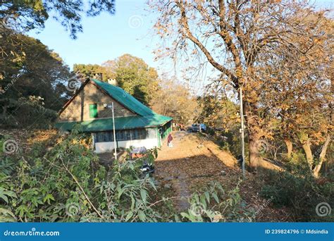 Forest Settlement in Himachal Pradesh PDF