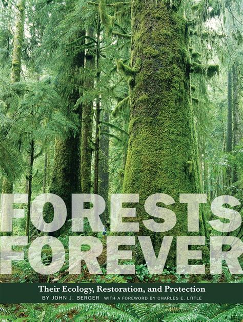 Forests Forever: Their Ecology Epub