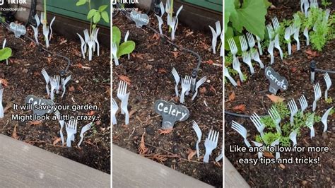 Forks in the Yard: A Quirky Garden Accessory with Surprising Benefits