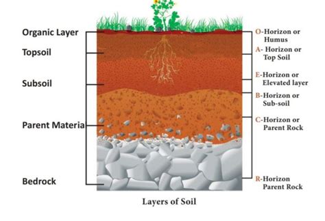 Formation and Characteristics