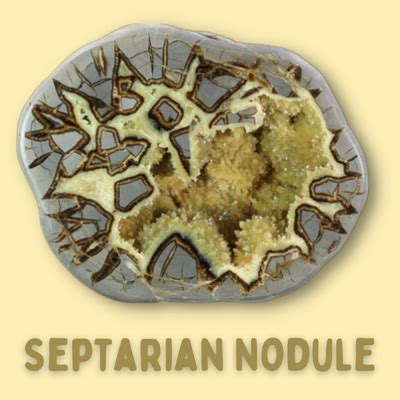 Formation and Composition of Septarian Crystal