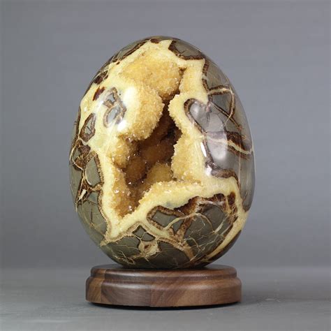 Formation of Septarian Eggs: A Tale of Time and Geochemistry