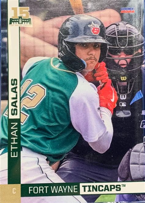 Fort Wayne TinCaps Silver Lot: An Exclusive Guide for Baseball Enthusiasts