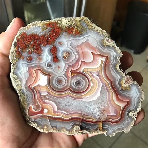 Fortification Agate: