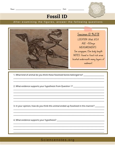 Fossil Worksheet Answers Epub