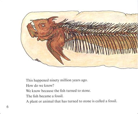 Fossils Tell Of Long Ago (Turtleback School & Librar PDF