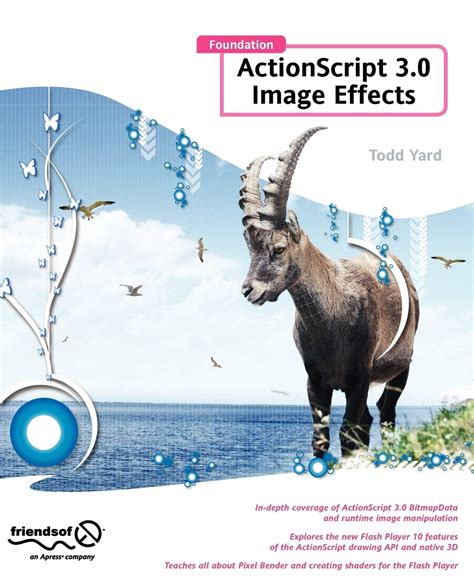 Foundation ActionScript 3.0 Image Effects (Foundations) Reader