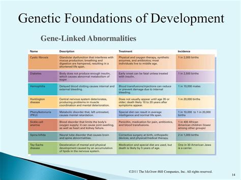 Foundations of QtÃ‚Â® Development Doc