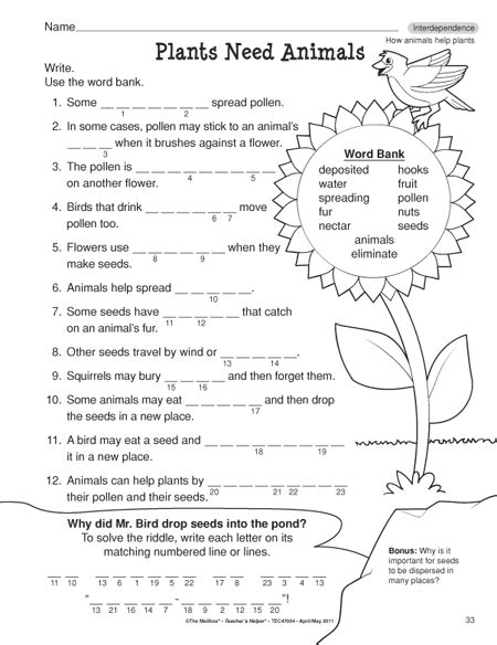 Fourth Grade Science For Home School or Extra Practice