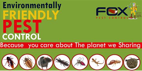 Fox Pest Control Pittsburgh: A Comprehensive Guide to Humane Solutions