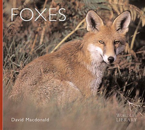 Foxes Worldlife Library Reader