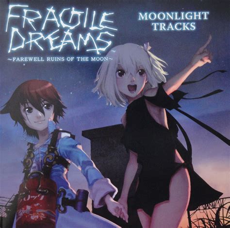 Fragile Dreams: Farewell Ruins of the Moon - A Journey Through Lunar Loneliness