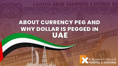 Framework for Understanding the UAE Currency Peg