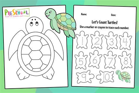 Franklin The Turtle Printable Activities