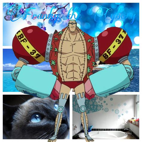 Franky One Piece: The Eccentric Cyborg Genius