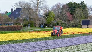 Franse bloemist pesticiden: Alles wat u moet weten