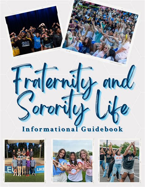 Fraternity and Sorority Movies: A Guide to the Subgenre