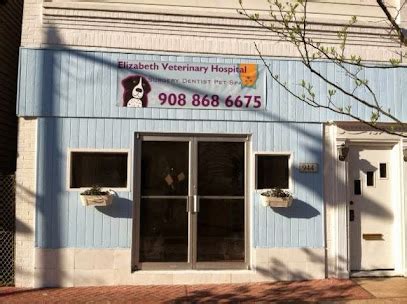 Fredon Animal Hospital: Providing Top-Notch Veterinary Care in Fredon, New Jersey