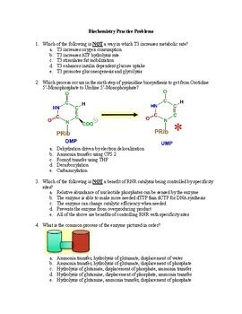 Free Biochemistry Practice Problems for Academic and Professional Excellence