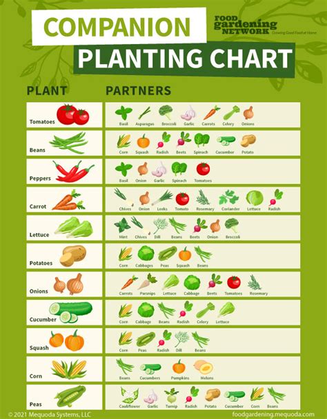 Free Companion Planting Chart
