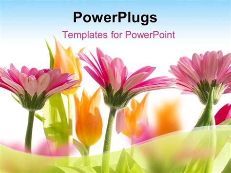 Free Powerpoint Templates For Spring
