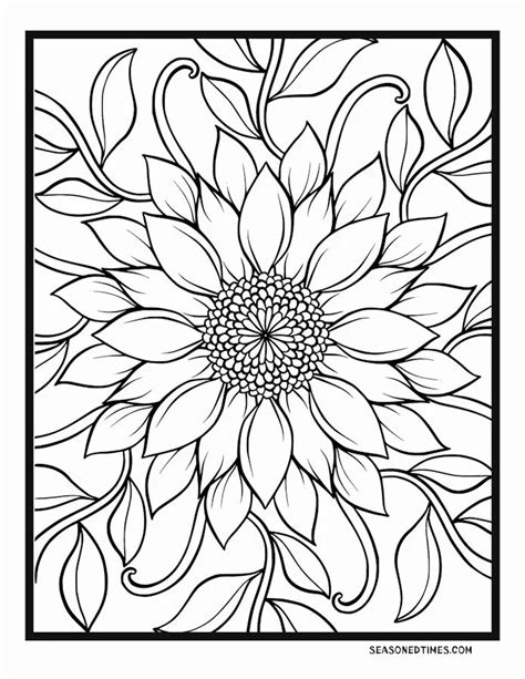Free Printable Coloring Pages For Seniors