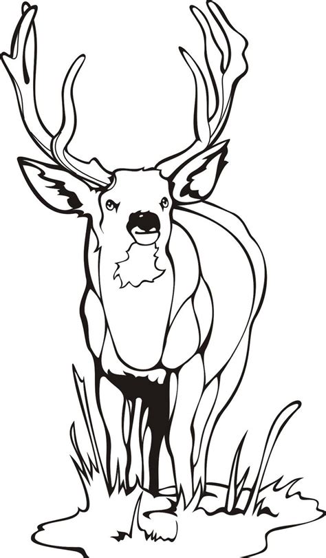 Free Printable Deer Coloring Pages