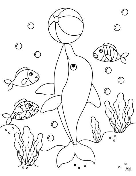 Free Printable Dolphin Coloring Sheets
