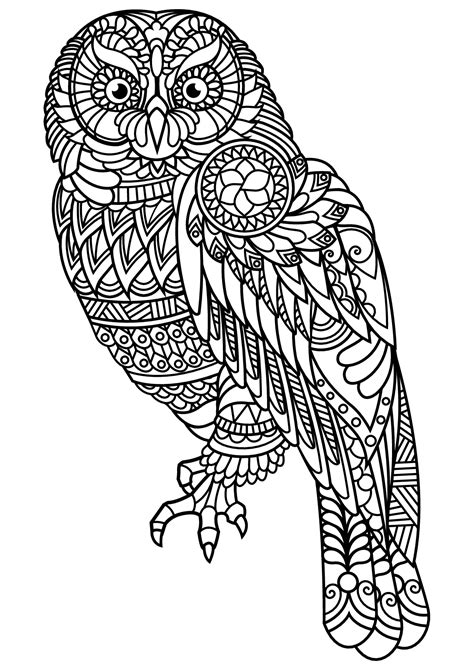 Free Printable Owl Coloring Page