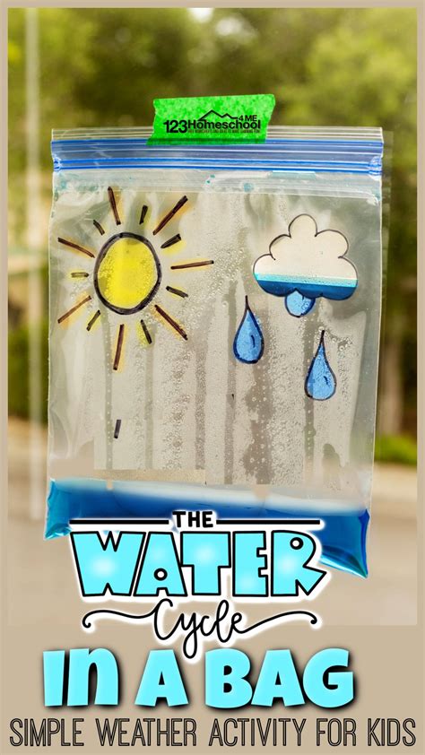 Free Printable Water Cycle In A Bag Worksheet