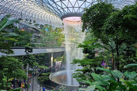 Free Things to Do in Changi Airport: 10+ Amazing Activities